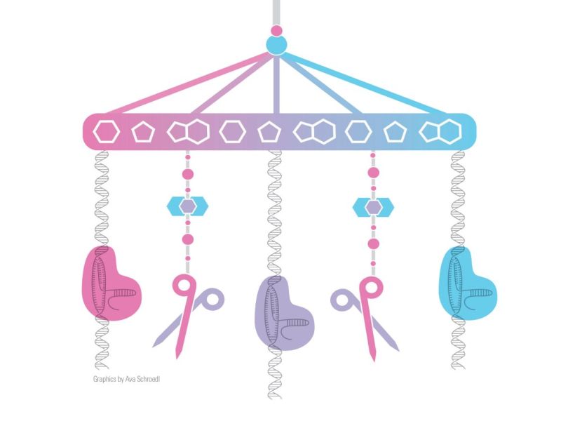 The Chinese CRISPR Babies: Lessons Learned and Paving the Way Forward