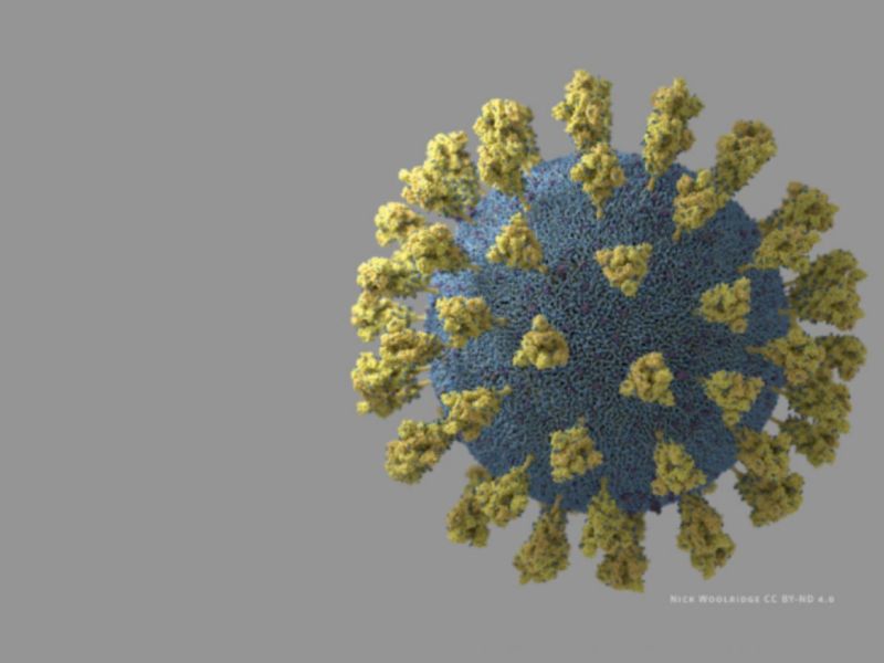 The Hidden Pandemic: COVID-19 Misinformation in the Media