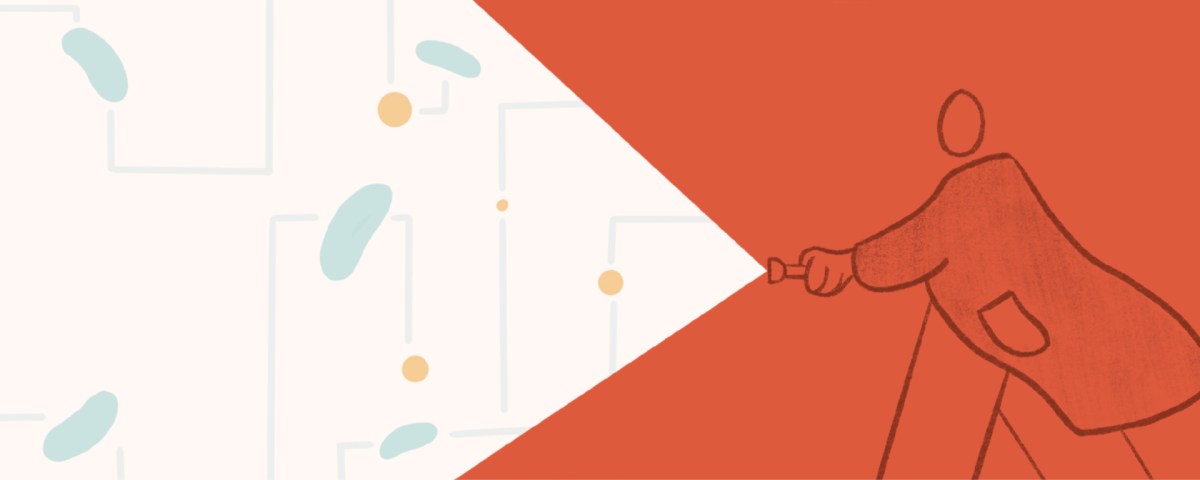 From Obesity to Diabetes