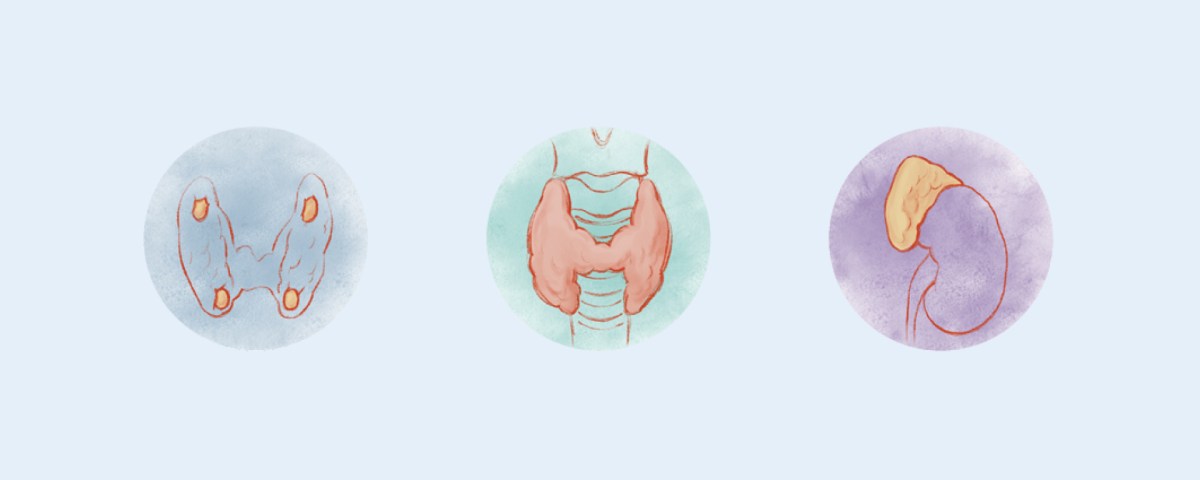 Cutting into Endocrine Disease