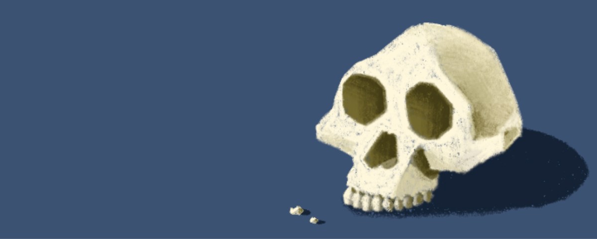 The Not so Kind History of Humankind