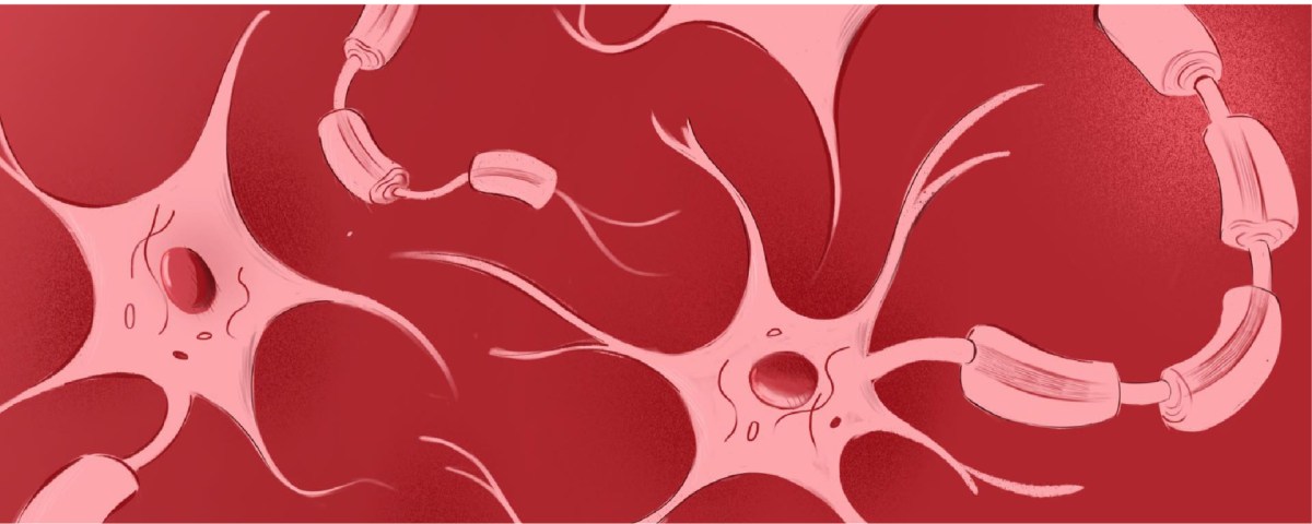 Crossing Medicine’s Final Frontier: Dr. Cindi Morshead’s Lifelong Pursuit to Cure Neurological Disease