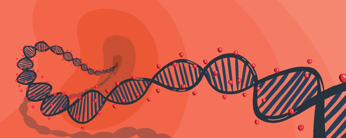 Dr. Michelle Dubinsky’s Journey as a Researcher, Mentor, and Medical Science Liaison 