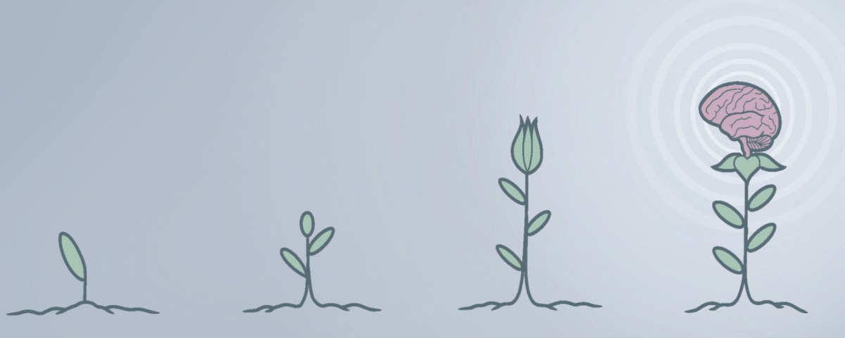 Exploring Mindfulness: Benefits, Controversies, and Its Effectiveness in Improving Mental Health