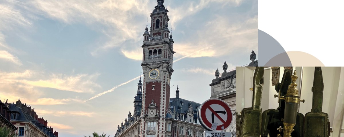 Echoes of Hope: Navigating Mesothelioma Breakthroughs in Lille  