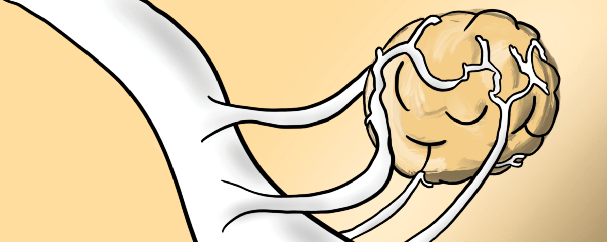 From Tangible Impact to Transformative Research – An Interview with Dr. Gelareh Zadeh