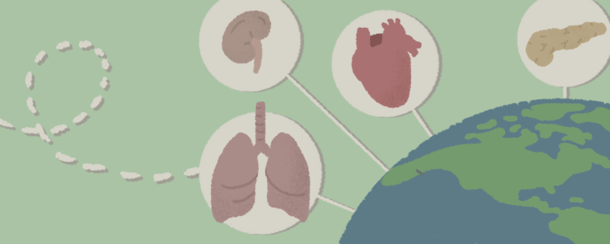 From Discovery to Innovation: How Dr. Ali Influenced Organ Transplants Across the Globe