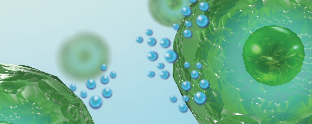 Mast Cell Activation Syndrome: Immune Response Gone Wrong