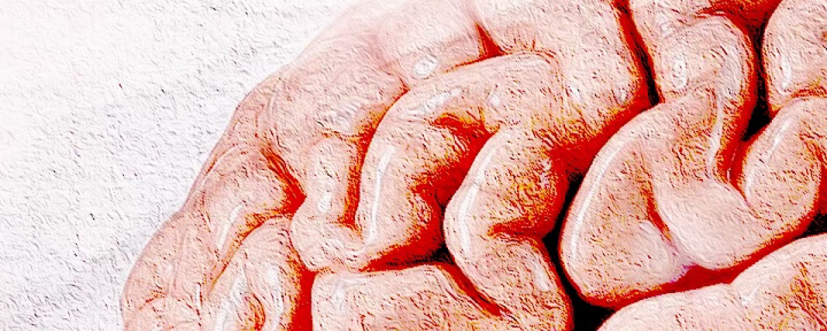 Inflammation: The Aging Brain’s Achilles’ Heel