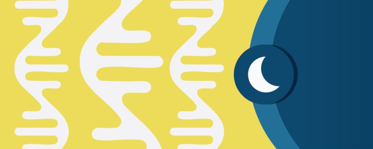 Psychiatric Geneticist by Day, Explorer by Night: WCPG in Singapore