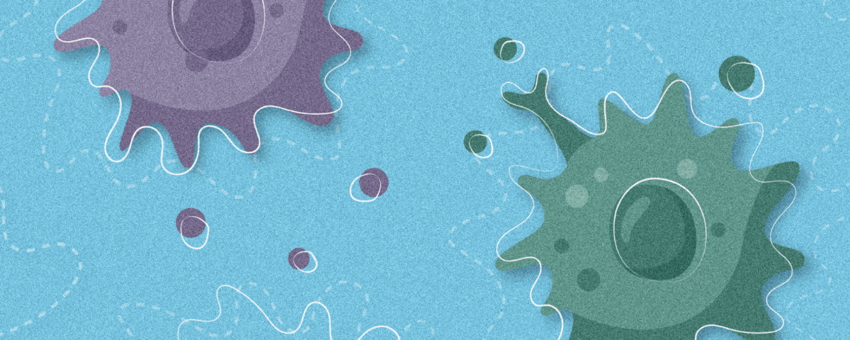 More Than a PhD: A Journey of Community and Connection