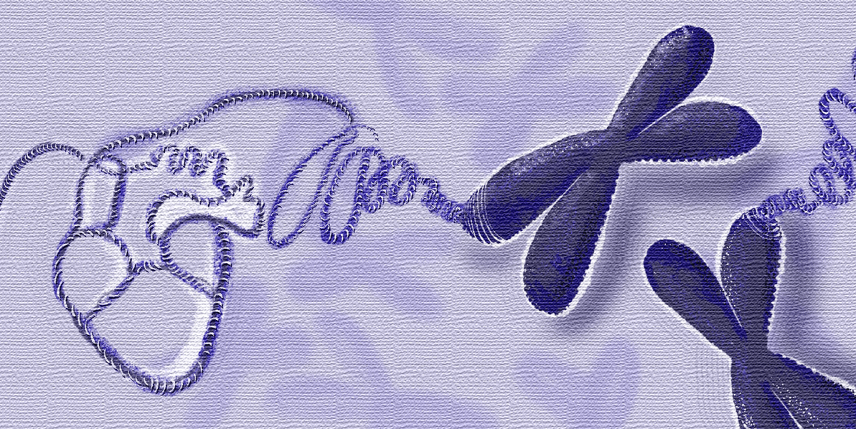 15th Annual Ori Rotstein Lecture: Biological Sex and Disease Mechanisms 